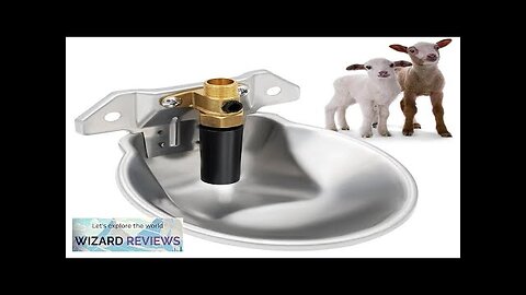 Automatic Sheep Water Bowl Stainless Steel Drinking Goat Lamb Drinker Water Bowl Review