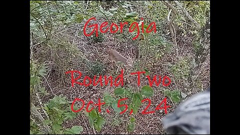 Georgia Archery Round 2....Big buck at 30 yards!!!!