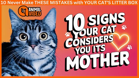 10 Signs Your Cat Considers You Its Mother | Animal Vised