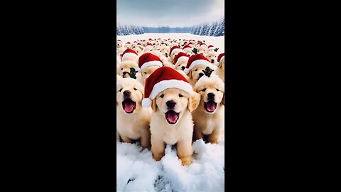 Adorable Animals Celebrate the Holidays | Cute Animal Holiday Celebration