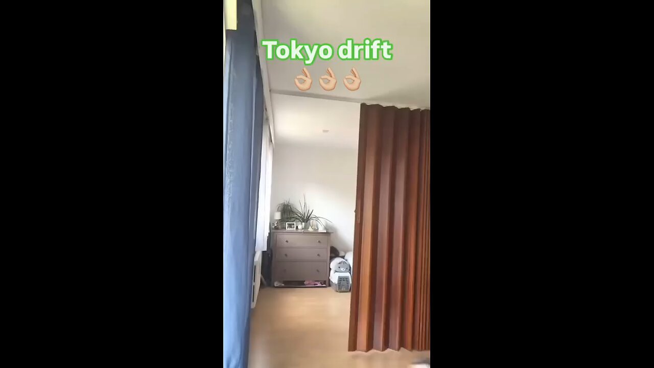 pets drifting