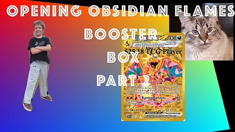 Opening Obsidian Flames Booster Box Part 2. Hits: Charizard, Bellibolt, Ninetails, and Geeta!