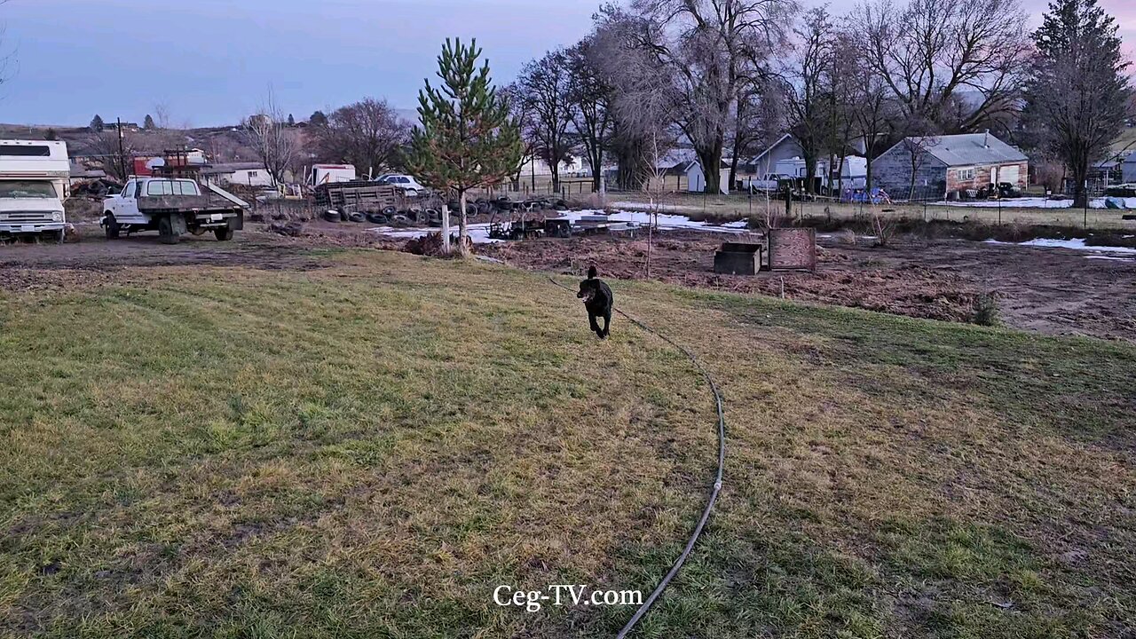 Graham Family Farm: 4:20 PM December 24th 2024