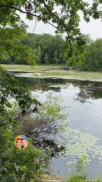 FEEL LIKE YOU CAN WALK THE LILY PADS!