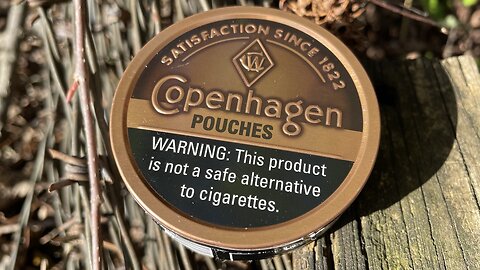 Copenhagen Pouches Dip Review