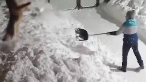 Cute golden retriver paying with snow💖🤣🐶🐶