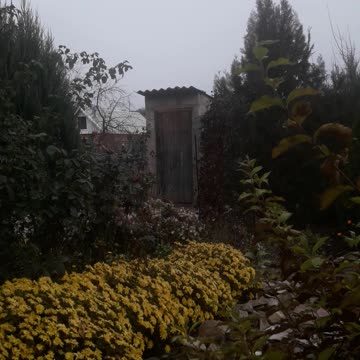 Garden in late autumn
