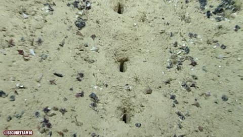 This Discovery Is Baffling Ocean Experts.. "Perfect Holes" Carved Into Sea Floor Defy Explanation