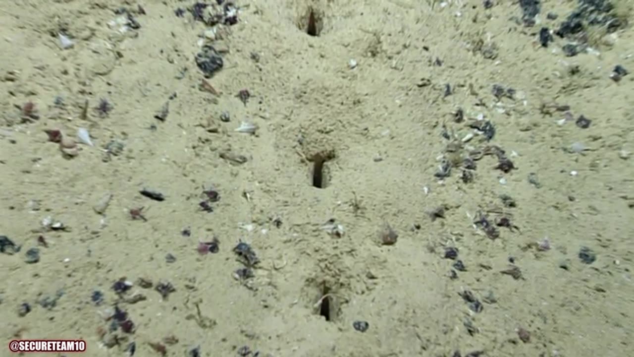 This Discovery Is Baffling Ocean Experts.. "Perfect Holes" Carved Into Sea Floor Defy Explanation