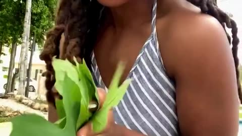 Papaya leaves offer a variety of health benefits