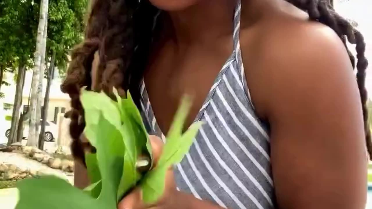Papaya leaves offer a variety of health benefits