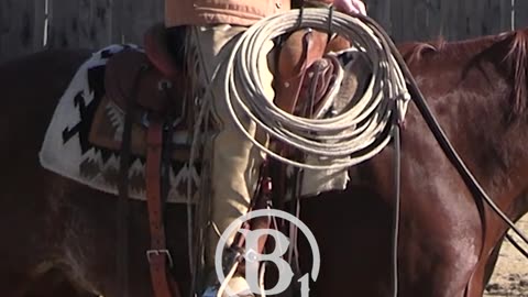 Position 1, 2, and 3.