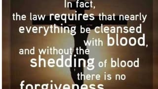 Prayer of Forgiveness #youtubeshorts #grace #jesus #mercy #faith #fyp #trust #blessed #love #forgive