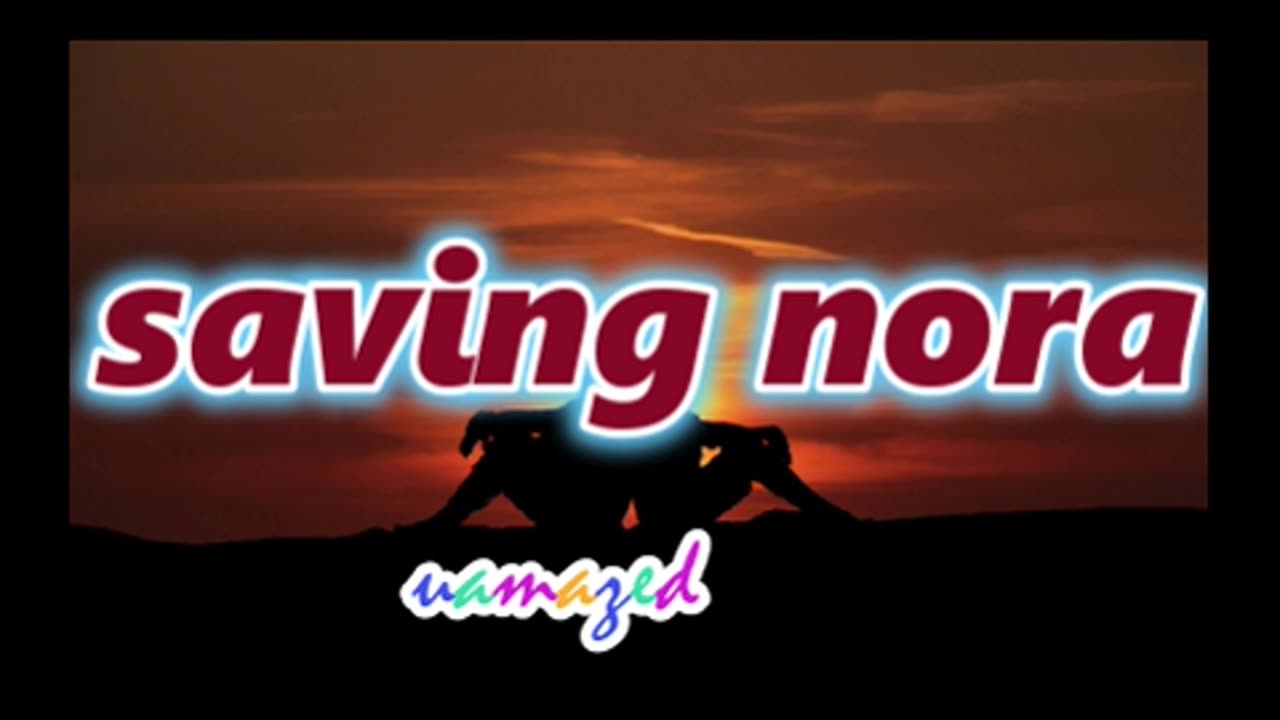 N0RA-1142 to 1156.mp4