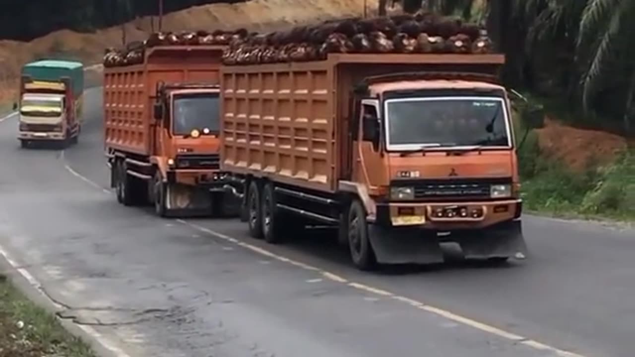 convoy loaded with palm oil trucks on a sharp incline