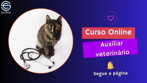 Auxiliar Veterinário