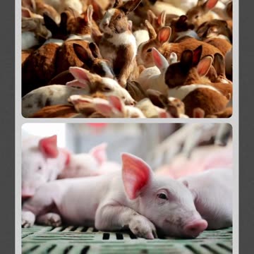 Step Into Serenity: The Allure of Vacant Land Ownership starts here