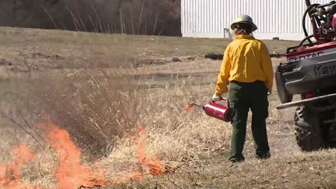 Prescribed burns placed in two St. Louis parks