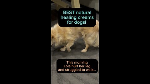 I used my pain relief cream on my dog and THIS happened!