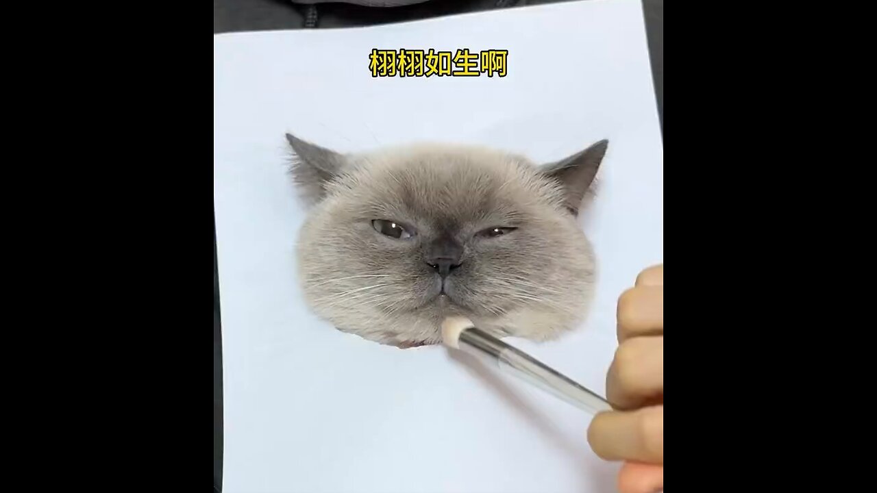 Wait For Masterpiece Realistic Cat 🐈 Art