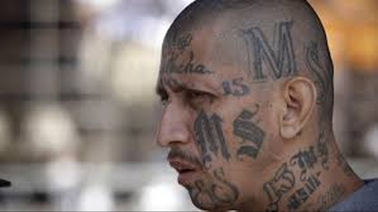 ICE deporta a Inmigrantes Ilegales