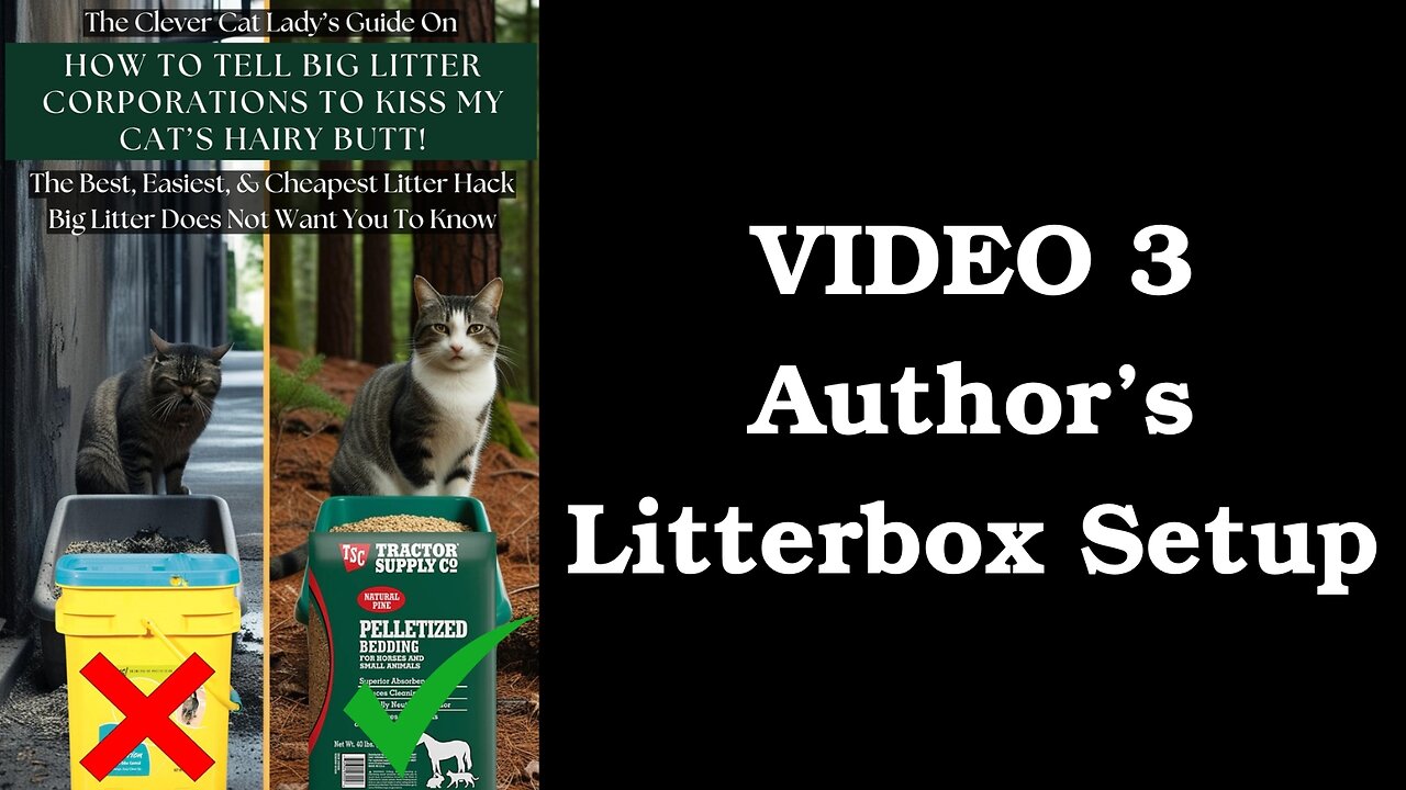 VIDEO 3 - Author's Litterbox Setup & Weekly Cleanup