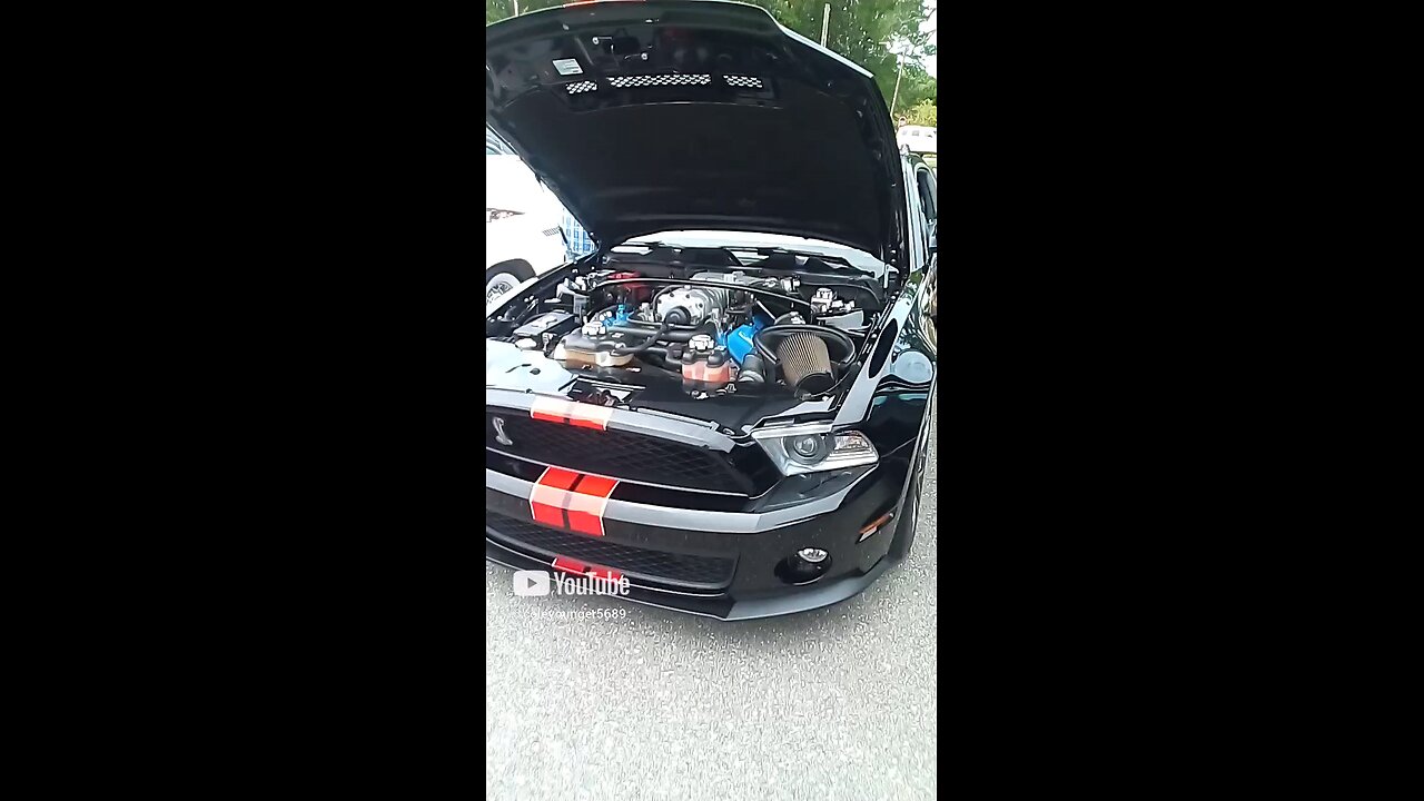 SHELBY COBRA &SS EL CAMINO