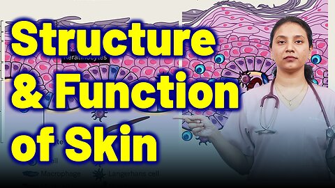 Structure & Function of skin. | Treatment and Cure | Homeopathy, Medicine & Surgery