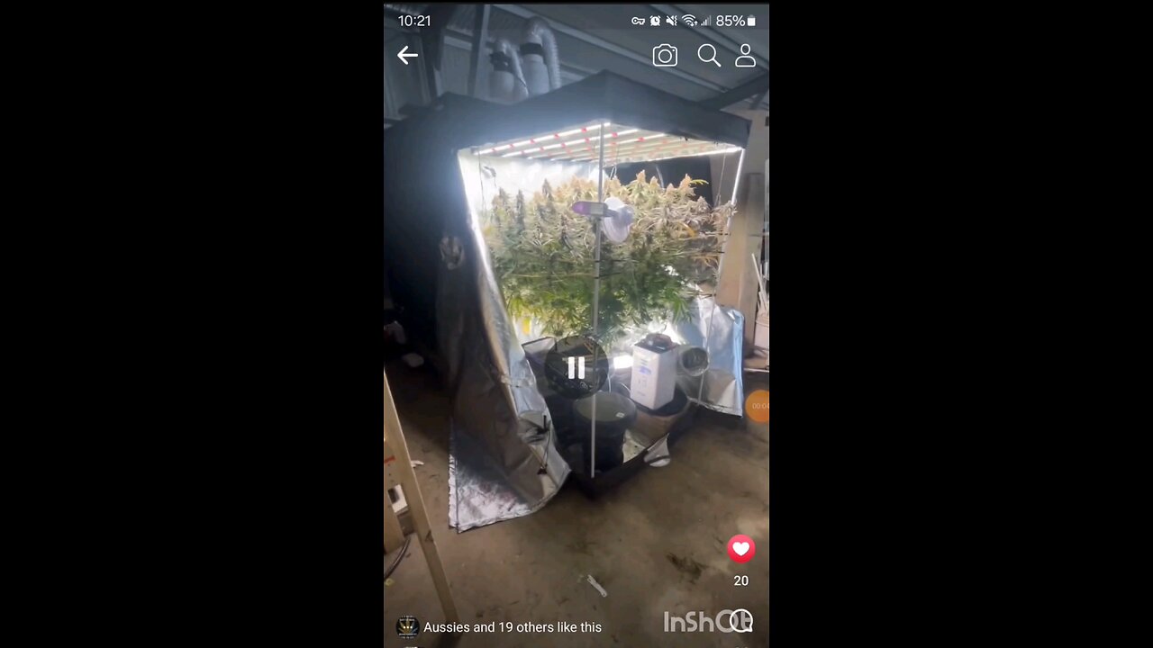Thumbelina, Grown Down Under
