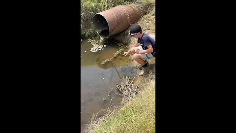 Country boys doing a little hand fishing on a summer