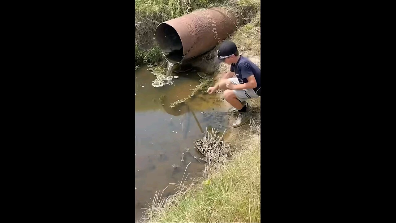 Country boys doing a little hand fishing on a summer