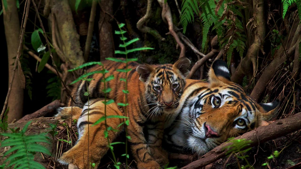 2 Corinthians chapter 10