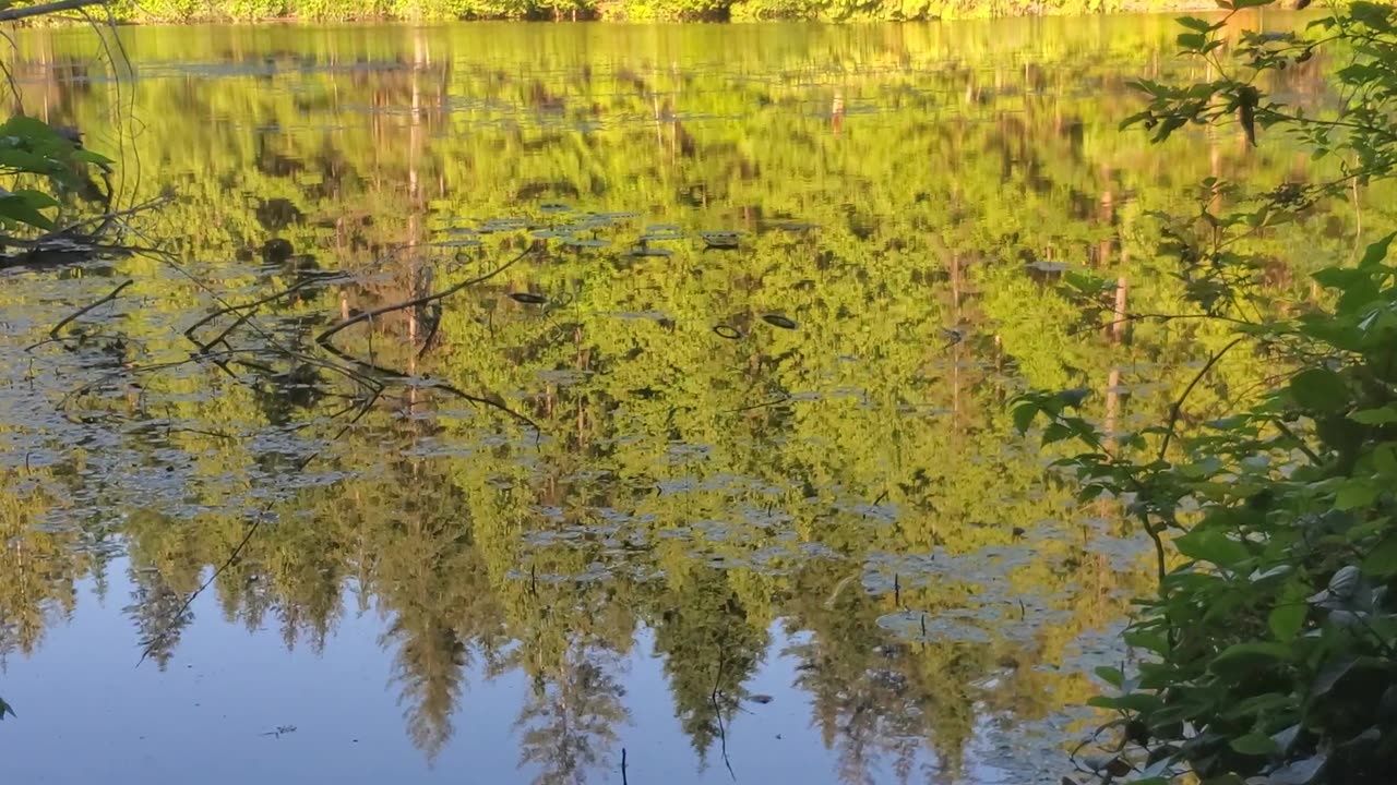 A beautiful day at the lake