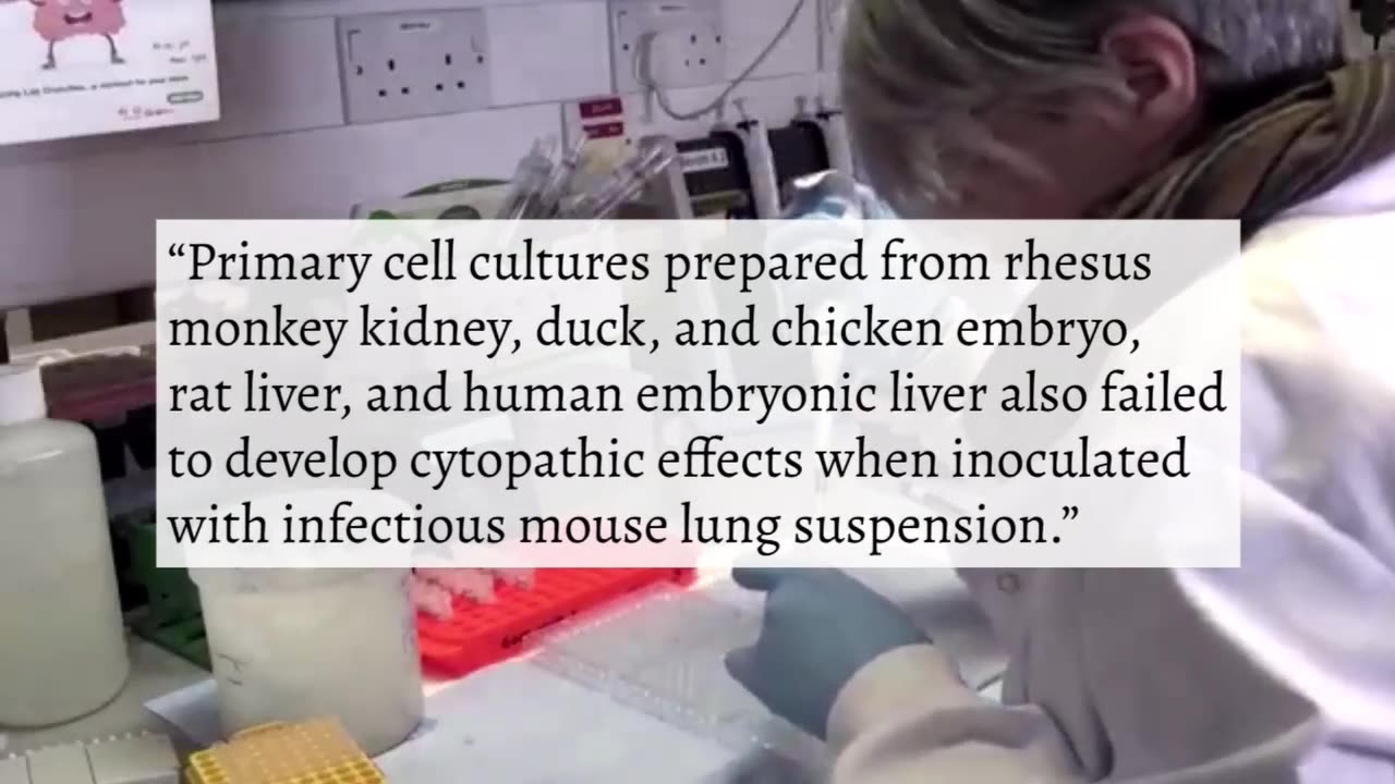 Hollywood's Hantavirus. Dr. Sam Bailey.