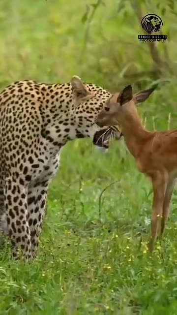 Amazing friendship 😱