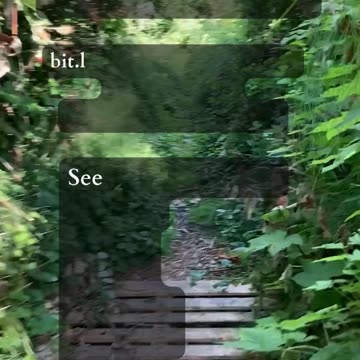 Fulfillment Through Growth | Path and Tarot Reading