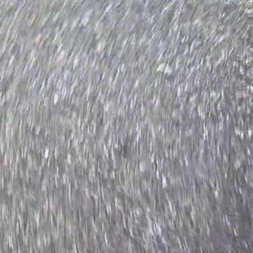 Looks like they're testing a new bio weapon in the fog