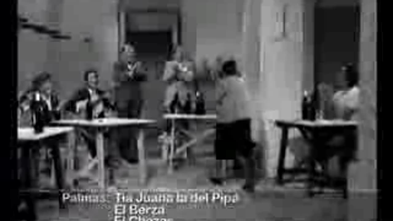TIO BORRICO DE JEREZ-SOLERA DEL TABANCO JEREZANO