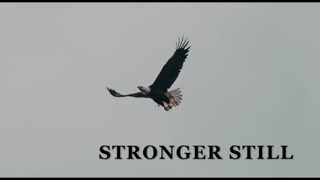 Pray USA, 2/27/25 Stronger Still