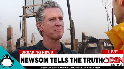 Gavin Newsom FINALLY Tells The Truth