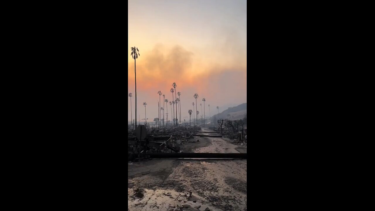🚨 #BREAKING: LA Fires Resemble an Apocalypse Movie