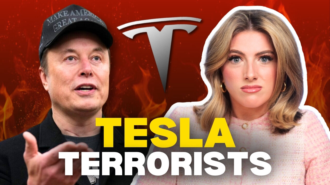 Elon Musk Haters are ATTACKING Teslas