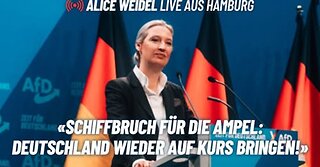 Alice Weidel AfD spricht Klartext: Live in Hamburg!