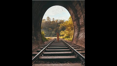 Experience the Scenic Ella Odyssey Train Journey