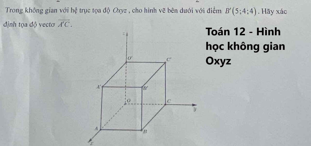 Toán 12: Trong không gian với hệ trục tọa độ Oxyz, cho hình vẽ bên dưới với điểm B'(5;4;4). Hãy xác