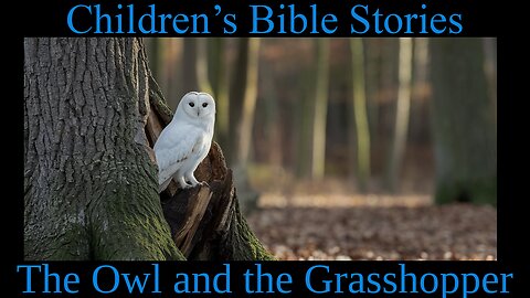 Children's Bible Stories-The Owl and the Grasshopper