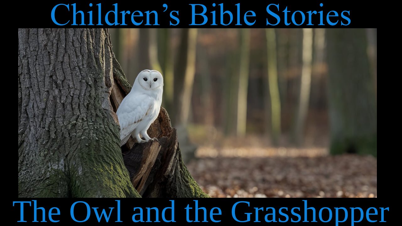 Children's Bible Stories-The Owl and the Grasshopper