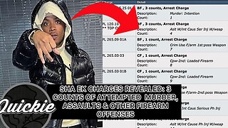 ShaEK M*RDER CHARGES REVEALED! BigMeech SNITCHED? & MUCH MORE NONSENSE!