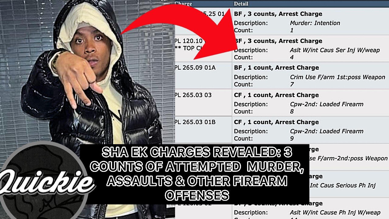 ShaEK M*RDER CHARGES REVEALED! BigMeech SNITCHED? & MUCH MORE NONSENSE!