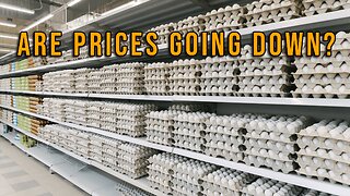 Pastor Scott Show - Egg Prices and Tariff War